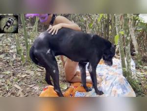  Chien noir brutal, sexe sauvage en plein air