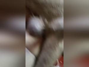 First penetration with a dog: amateur zoo
