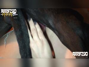 Woman and Dog - A Forbidden Encounter on Video