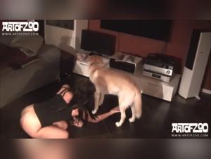 Chica Foca Perro Star