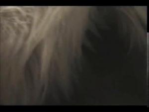 Zoosex Video: An Extreme Experience