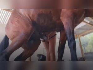 Exploring Forbidden Fantasies: Woman Horse