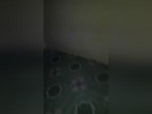 Woman and dog: a story of bestial sex