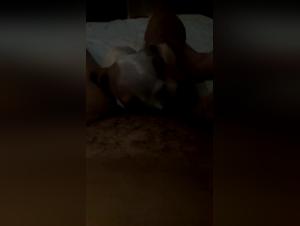 Intimate Moment with a Dog