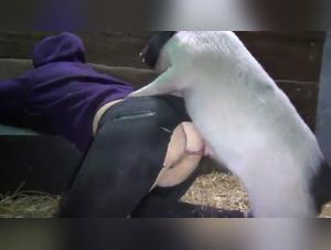 Yasmin and her four-legged friends