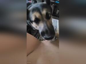 Intimate Moment: female dog and Her Best Friend - Bestiality Video