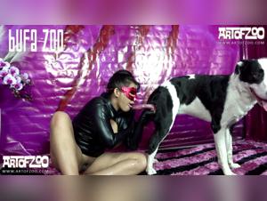 Unveiling Bestiality Videos: Trends & Content