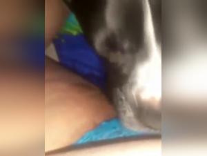 Forbidden meeting: woman and dog