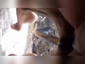 Intimate Moment with My Dog - Bestiality Sex Video