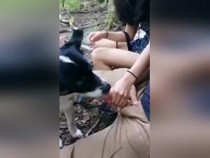 Sex with a Dog Video: Explore the Limits of Bestiality