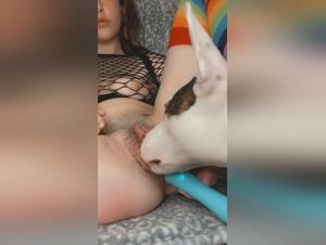 TikTok Zoo : Exposed Realities