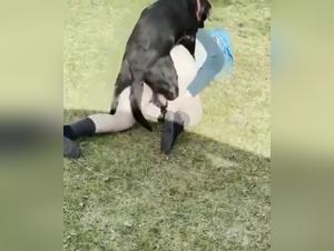 dick milf beißt mit schwarzem labber