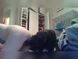 Zoophilia Amateur Videos - Sex with Dog