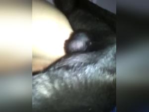 woman and dog bestiality