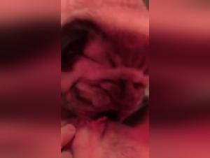 Banned videos: @amivmanhaes and zoophilia