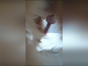 unlawful animal content