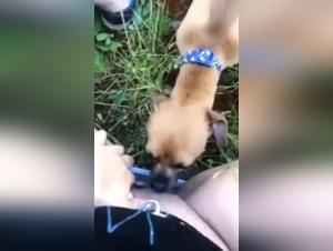 Outdoor Sex Scene with a Girl and Her Dog