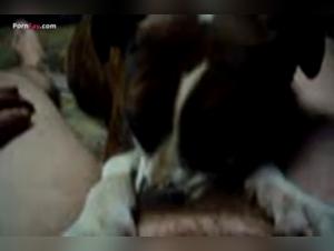 extreme domination tizoo