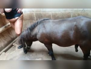 Taboo Doggy Style Video - Extreme Zoosex that will blow your mind 