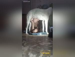 Girl Fucked by Dog