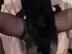 a dog mounts his mistress