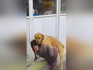 Perversa Tentacion: Chica Bajita y Su Fiebre Canina