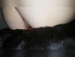 Unfaithful wife indulges in animalistic antics with a dog