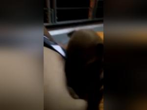 Intense sex session with a submissive and docile dog