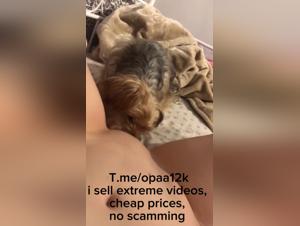 Sexy woman and dog in bestiality video