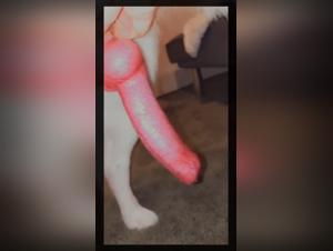 Amateur Video: Woman and Her Dog