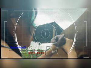 Forbidden Desires: Animal Porn Rocks