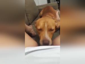 Forbidden Encounter: A Woman and a Dog