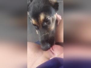 Bestiality Sex Video with a Dog