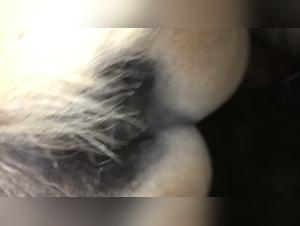 LoveforHorses - A Unique Bestiality Sex Experience