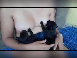 Woman giving milk to puppies in bestiality video