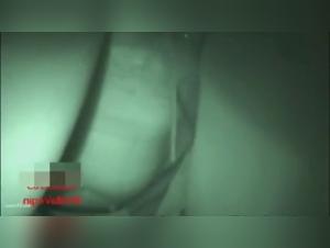 Dog sex videos: discover our extreme bestiality content