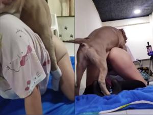 Salope baise chien 137