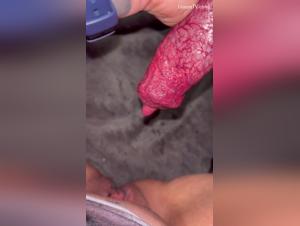 Bestiality Sex Video: An Extreme Experience