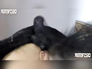 Bestiality Videos for Women and Men - Hottest Sex Video Clips