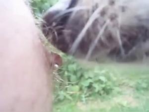 Friendly Dog and his Tender Caresses