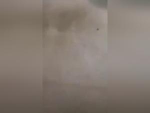 Video Bestiality: A Forbidden Experience