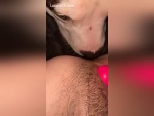 The Queen of Beasts Returns: A Bestiality Experience Like No Other