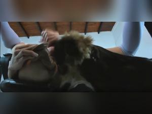 Shemale Teen Gets Dog Sexed