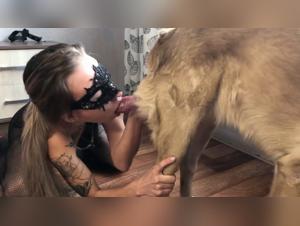 Canine Creativity: A Zooskoolvideos Showcase