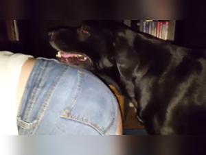 Amateur Dog Lovers Unite for Extreme Bestiality Action