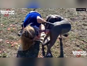 Exploring Najcia and Her Dog: An Uncommon Narrative