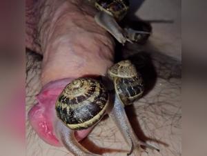 Sex videos with animals: explore the limits of ecstasy