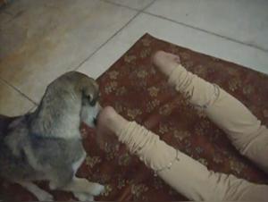 The Zooschool Bestiality Secret