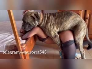 Sexploitation Canine: Milly Baise Chien Part 1