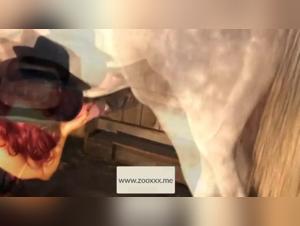 Pornstars in extreme bestiality scenes